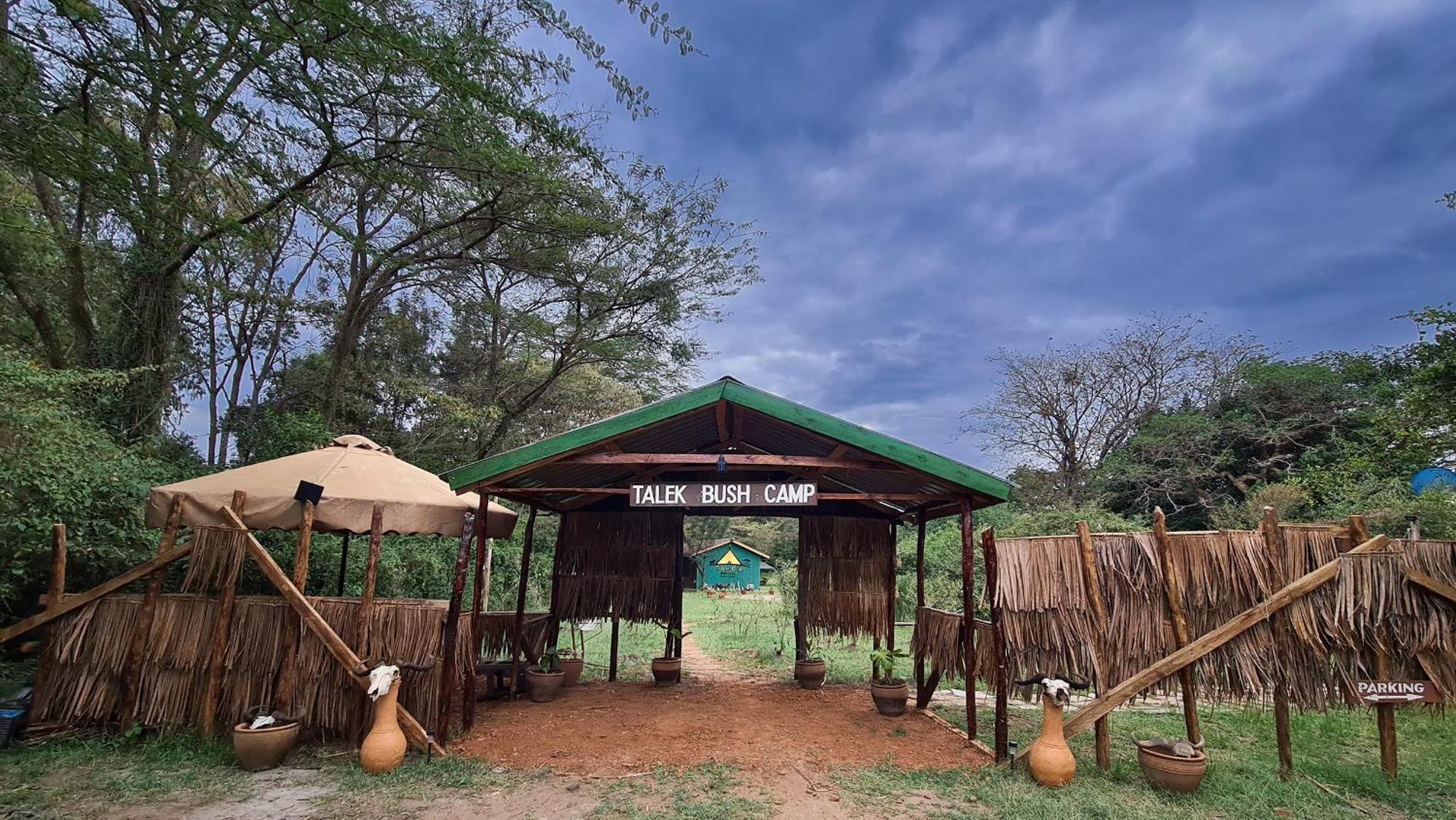 Talek Bush Camp , Masai Mara Hotel Eksteriør billede