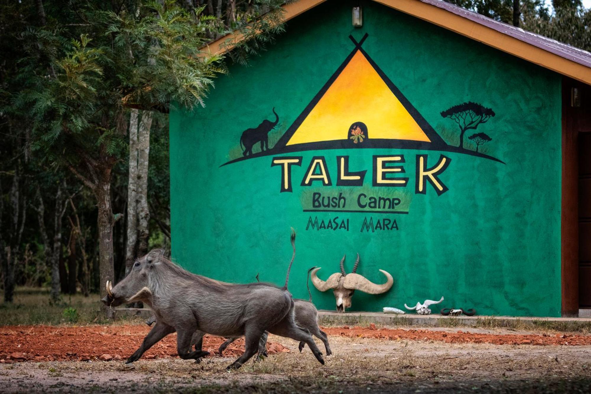 Talek Bush Camp , Masai Mara Hotel Eksteriør billede