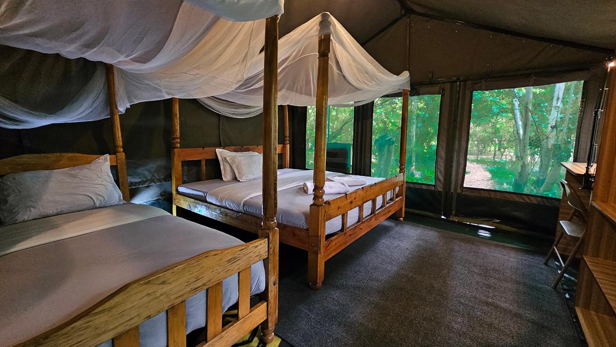 Talek Bush Camp , Masai Mara Hotel Værelse billede